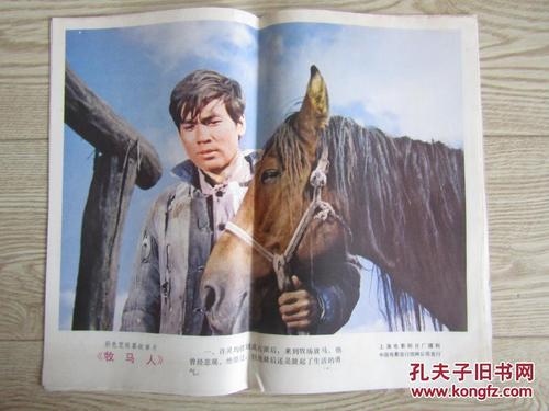 罗马尼亚怎么仿制